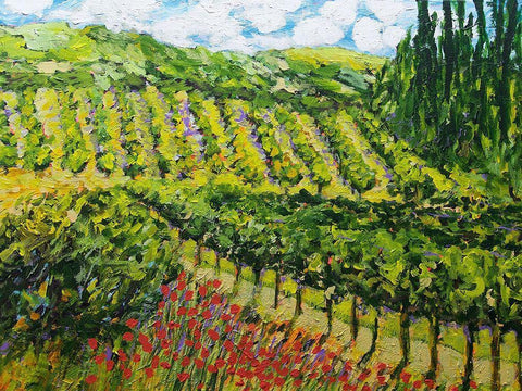 Mountain Vineyard Black Ornate Wood Framed Art Print with Double Matting by Friedlander, Allan