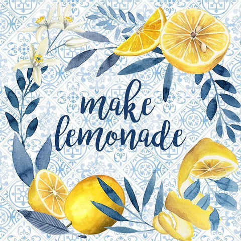 Citrus Sayings I Black Modern Wood Framed Art Print with Double Matting by Popp, Grace