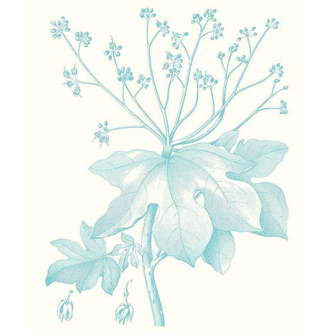 Botanical Study in Spa I White Modern Wood Framed Art Print by Vision Studio