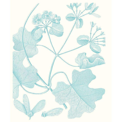 Botanical Study in Spa II White Modern Wood Framed Art Print by Vision Studio
