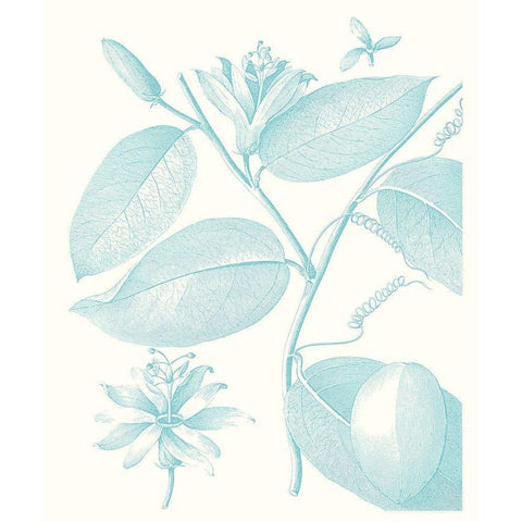 Botanical Study in Spa III White Modern Wood Framed Art Print by Vision Studio