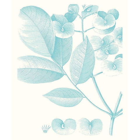 Botanical Study in Spa V White Modern Wood Framed Art Print by Vision Studio