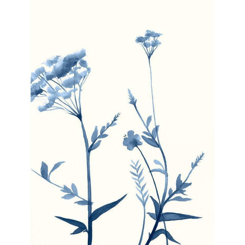 Indigo Wildflowers I Black Modern Wood Framed Art Print with Double Matting by Goldberger, Jennifer