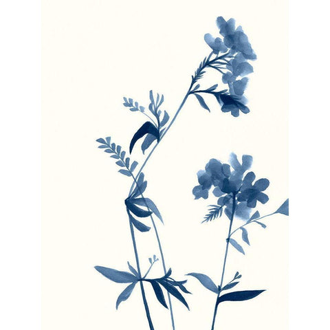 Indigo Wildflowers II Black Modern Wood Framed Art Print with Double Matting by Goldberger, Jennifer