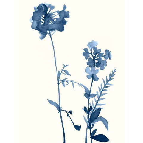 Indigo Wildflowers V Black Modern Wood Framed Art Print with Double Matting by Goldberger, Jennifer