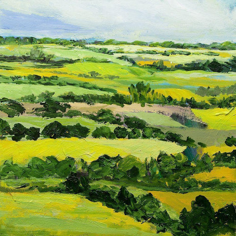 Brightwalton Green Black Modern Wood Framed Art Print with Double Matting by Friedlander, Allan