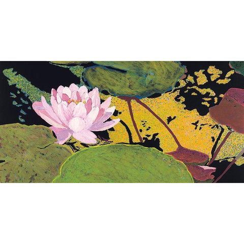 Georgia Summer Black Modern Wood Framed Art Print by Friedlander, Allan