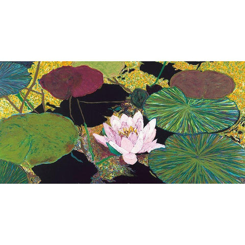 Steamy Pond White Modern Wood Framed Art Print by Friedlander, Allan