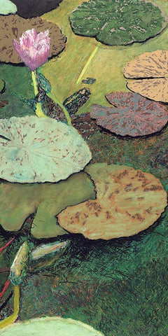 Emerald Pond Black Ornate Wood Framed Art Print with Double Matting by Friedlander, Allan