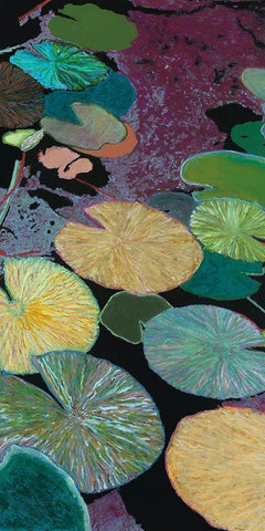 Secret Hideaway Black Ornate Wood Framed Art Print with Double Matting by Friedlander, Allan