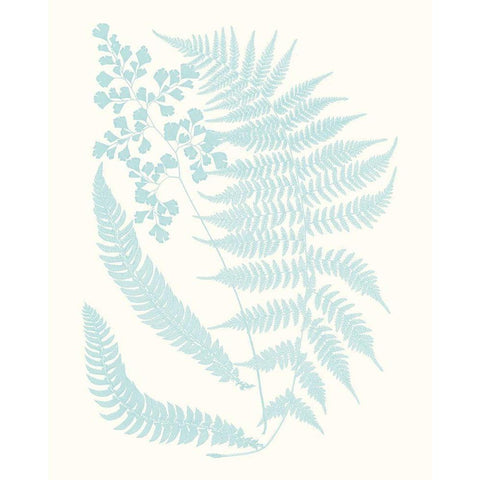 Serene Ferns II Gold Ornate Wood Framed Art Print with Double Matting by Vision Studio