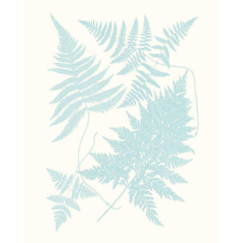 Serene Ferns IV White Modern Wood Framed Art Print by Vision Studio