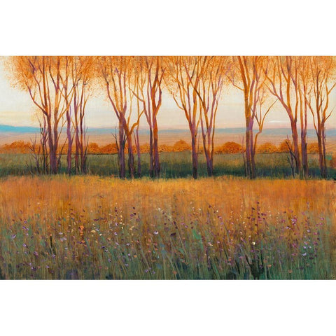 Glow in the Afternoon II Gold Ornate Wood Framed Art Print with Double Matting by OToole, Tim