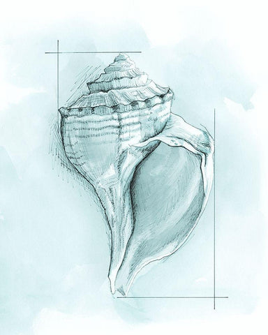Coastal Shell Schematic I White Modern Wood Framed Art Print with Double Matting by Meagher, Megan