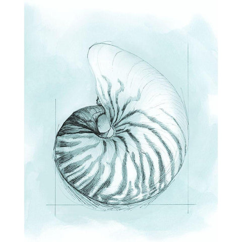 Coastal Shell Schematic II Black Modern Wood Framed Art Print by Meagher, Megan