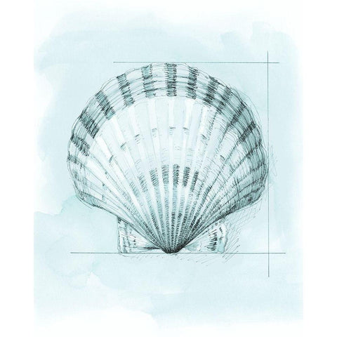Coastal Shell Schematic III White Modern Wood Framed Art Print by Meagher, Megan