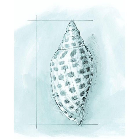 Coastal Shell Schematic IV Black Modern Wood Framed Art Print by Meagher, Megan