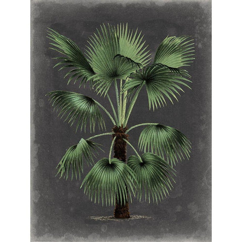 Dramatic Palm II Gold Ornate Wood Framed Art Print with Double Matting by Vision Studio