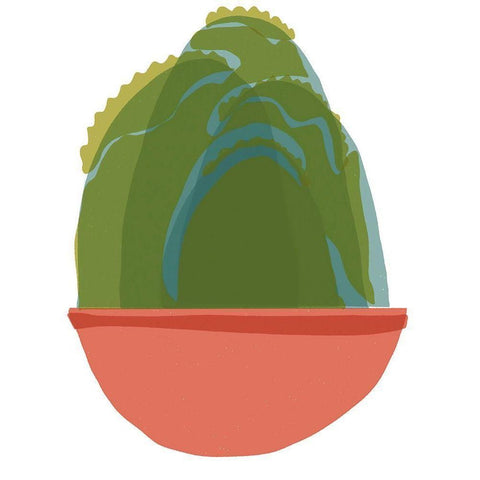 Mod Cactus III Gold Ornate Wood Framed Art Print with Double Matting by Delamater, Rob