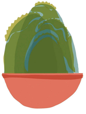 Mod Cactus III White Modern Wood Framed Art Print with Double Matting by Delamater, Rob