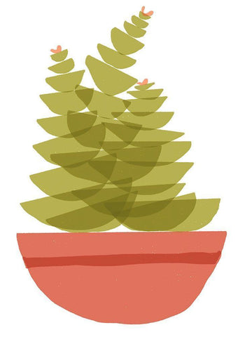 Mod Cactus VI White Modern Wood Framed Art Print with Double Matting by Delamater, Rob