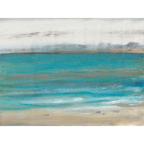 Seashore I Black Modern Wood Framed Art Print with Double Matting by OToole, Tim