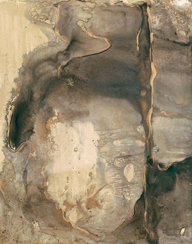 Ancient Rock I White Modern Wood Framed Art Print with Double Matting by Combs, Joyce