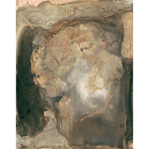 Ancient Rock II Gold Ornate Wood Framed Art Print with Double Matting by Combs, Joyce