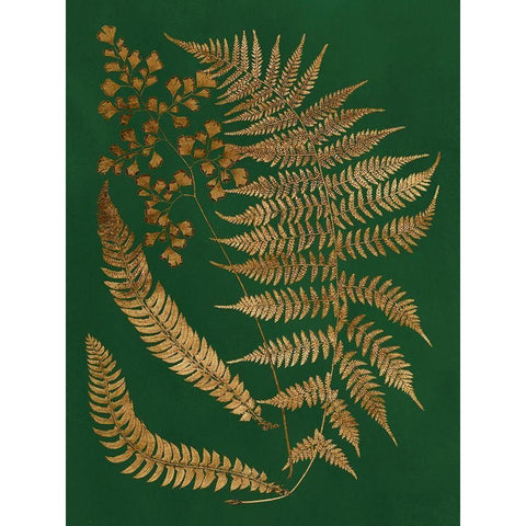 Gilded Ferns I Gold Ornate Wood Framed Art Print with Double Matting by Vision Studio