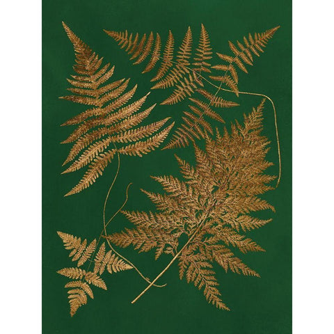 Gilded Ferns II Gold Ornate Wood Framed Art Print with Double Matting by Vision Studio