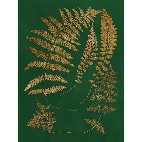 Gilded Ferns III Black Modern Wood Framed Art Print by Vision Studio