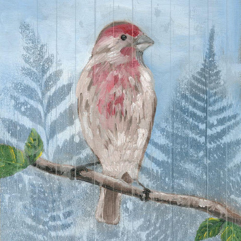 Eastern Songbird I White Modern Wood Framed Art Print with Double Matting by Ludwig, Alicia