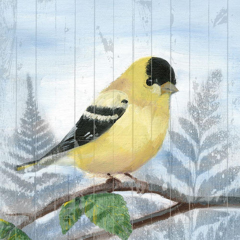 Eastern Songbird III Black Ornate Wood Framed Art Print with Double Matting by Ludwig, Alicia