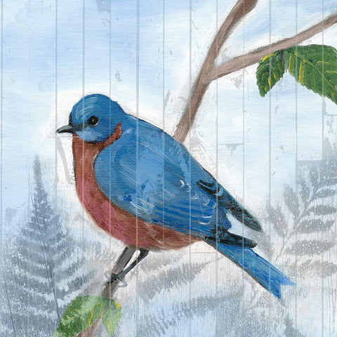 Eastern Songbird IV White Modern Wood Framed Art Print by Ludwig, Alicia