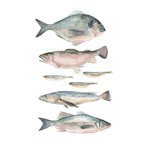 Fish Composition II White Modern Wood Framed Art Print by Scarvey, Emma