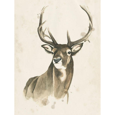 Watchful Woods I White Modern Wood Framed Art Print by Popp, Grace