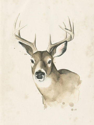 Watchful Woods II White Modern Wood Framed Art Print with Double Matting by Popp, Grace