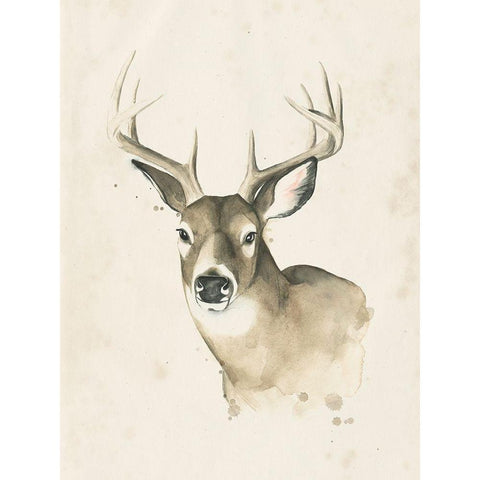 Watchful Woods II Black Modern Wood Framed Art Print by Popp, Grace