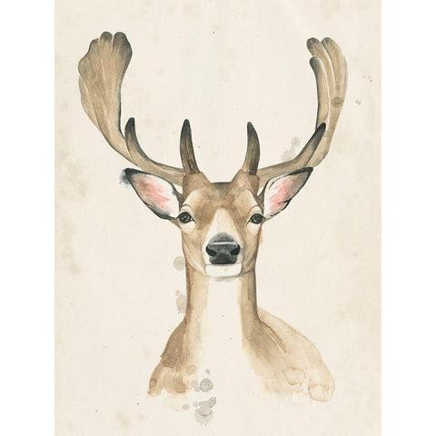 Watchful Woods III Gold Ornate Wood Framed Art Print with Double Matting by Popp, Grace