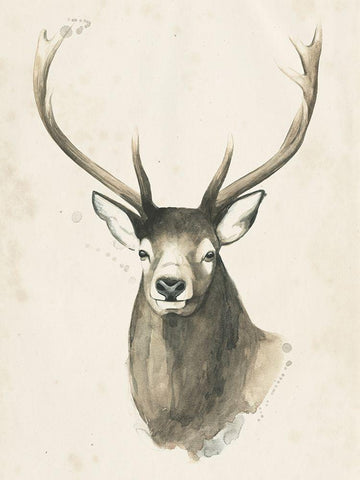 Watchful Woods IV Black Ornate Wood Framed Art Print with Double Matting by Popp, Grace