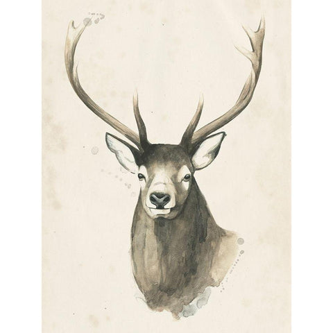 Watchful Woods IV Gold Ornate Wood Framed Art Print with Double Matting by Popp, Grace