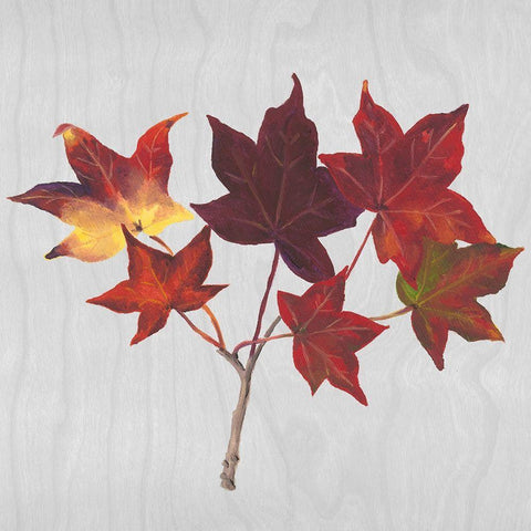 Autumn Leaves I White Modern Wood Framed Art Print by Miller, Dianne