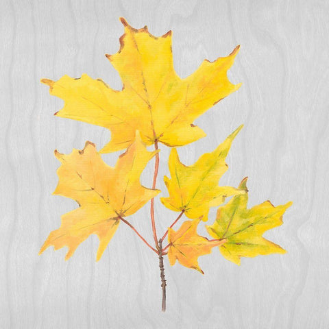 Autumn Leaves II Black Modern Wood Framed Art Print by Miller, Dianne