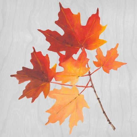 Autumn Leaves IV Black Modern Wood Framed Art Print by Miller, Dianne