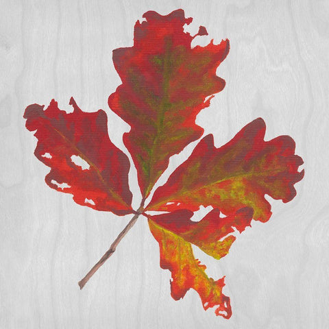 Autumn Leaves V Gold Ornate Wood Framed Art Print with Double Matting by Miller, Dianne