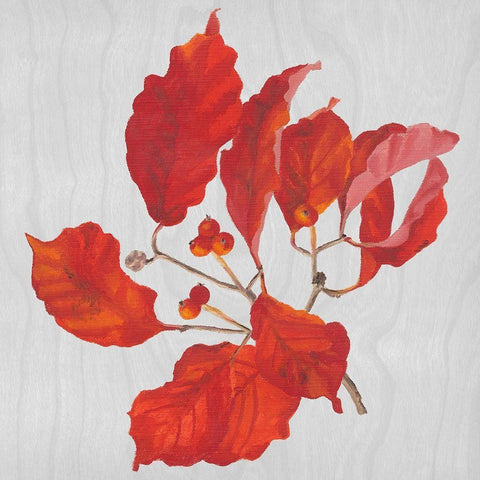 Autumn Leaves VI White Modern Wood Framed Art Print with Double Matting by Miller, Dianne