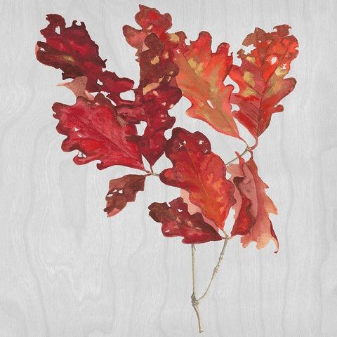 Autumn Leaves VIII Gold Ornate Wood Framed Art Print with Double Matting by Miller, Dianne