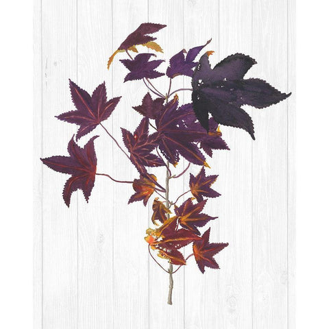Sweet Foliage II Gold Ornate Wood Framed Art Print with Double Matting by Miller, Dianne