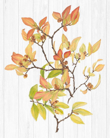 Sweet Foliage III Black Ornate Wood Framed Art Print with Double Matting by Miller, Dianne