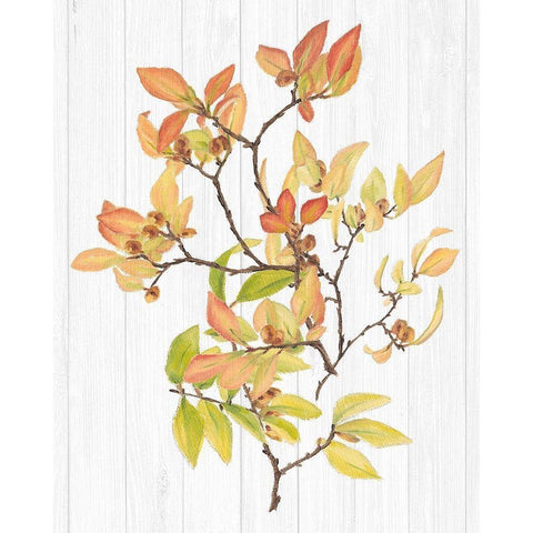 Sweet Foliage III Black Modern Wood Framed Art Print by Miller, Dianne